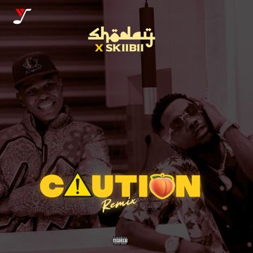 Caution (Remix) (Sped Up)-cover