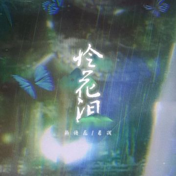 怜花泪-cover