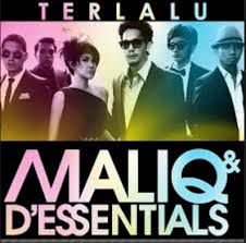 Terlalu-cover