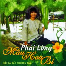 Còn thương câu hát miệt vườn-cover