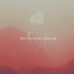 Say You Won't Leave Me