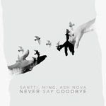 Never Say Goodbye-cover
