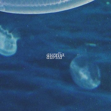 Worst One yet (Intermission)