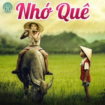 kid-nh-qu-cover-image