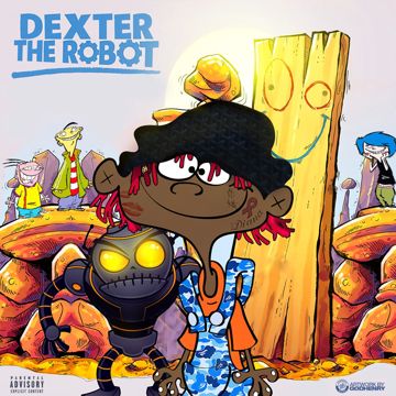 Check 'n Flex-cover