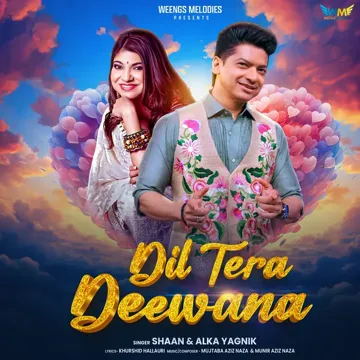 Dil Tera Deewana-cover