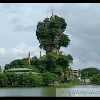 coveImg