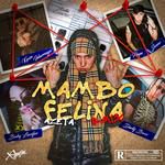 Mambo Felina (feat. Papi Joseo, Baby lucyfer, Kevin Idarraga & Dirty Bwoi)-cover