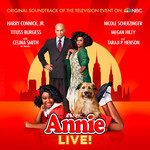 We Got Annie-cover