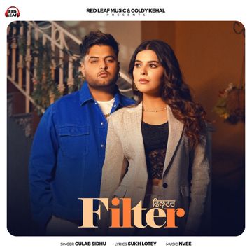 Filter-cover