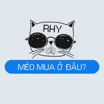 Mèo Mua Ở Đâu-cover