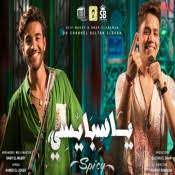 يا سبايسي