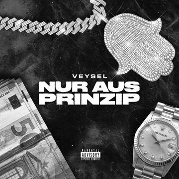 NUR AUS PRINZIP-cover