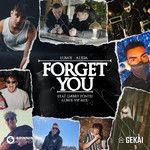 Forget You (feat. Gabry Ponte)(LUM!X VIP MIX)(Remix)-cover