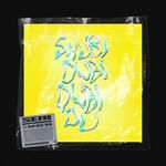 Skubidubidubidu-cover