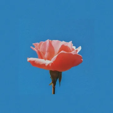 Feeling Fine-cover