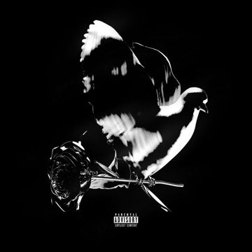 Imperfections (Interlude)-cover