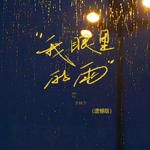我眼里的雨(遗憾版)