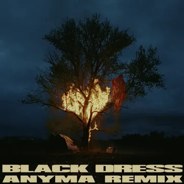 Black Dress (Anyma Remix)-cover