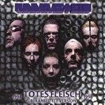rammstein-engelenglish-version-cover-image