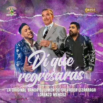 Di Que Regresarás-cover
