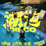 湖边迪斯科-cover