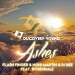 Ashes(VIP Mix)-cover
