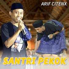 DJ 1 Menit Santri Pekok-cover