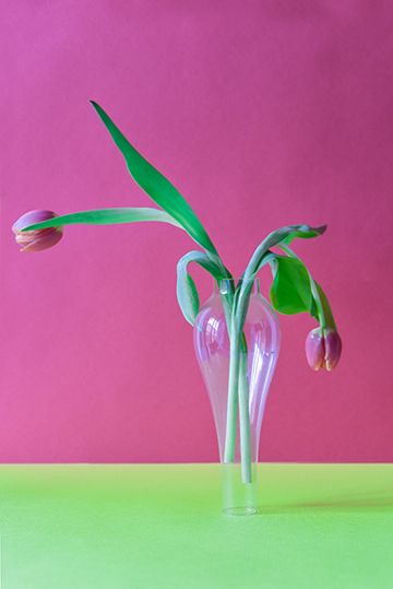Photo-cover