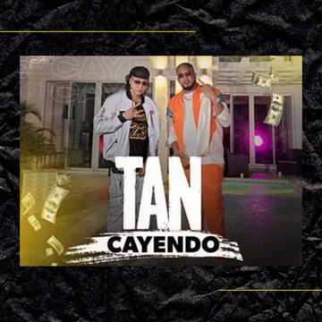 Tan Cayendo-cover