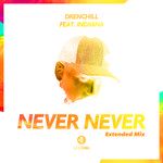 Never Never(Extended Mix)-cover