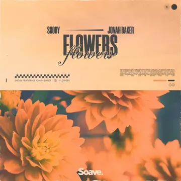 Flowers (feat. Jonah Baker)-cover