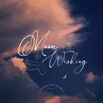 Moon Wishing-cover