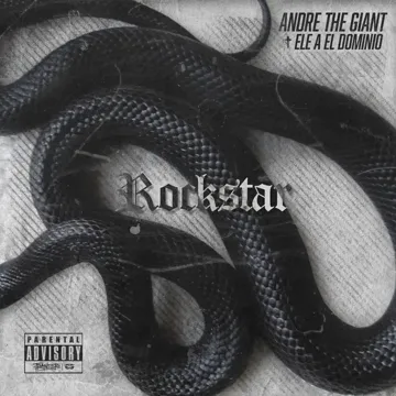 Rockstar-cover