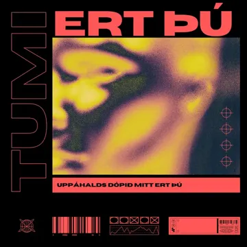 ERT ÞÚ-cover