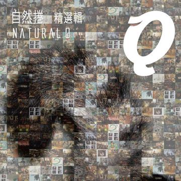 磨菇之歌-cover