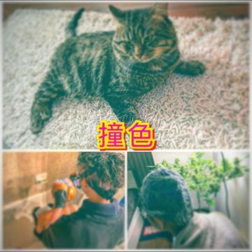 撞色-cover