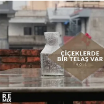 Çiçeklerde Bir Telaş Var-cover
