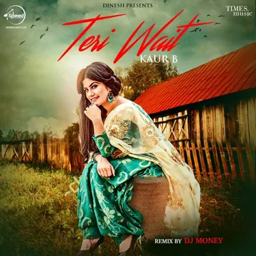 Teri Wait Remix By DJ Money-cover