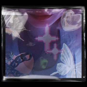蔷薇(Prod.sleepy&RoyalBoy)-cover