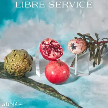 Perdre la raison-cover
