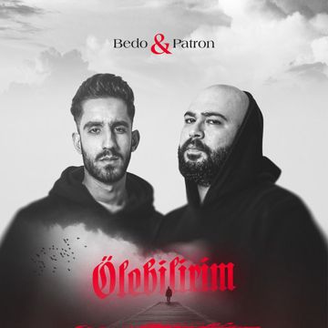 Ölebilirim-cover