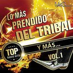 Cumbia Tribalera-cover