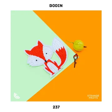 237-cover