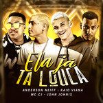 Ela Já Tá Louca-cover