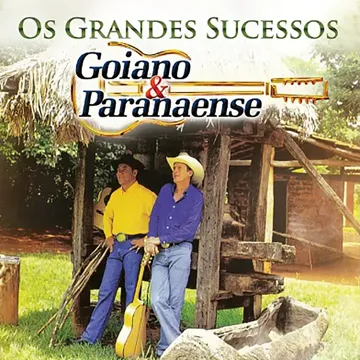 goianoparanaense-me-viola-cover-image
