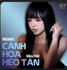 Cánh Hoa Héo Tàn (Remix)-cover