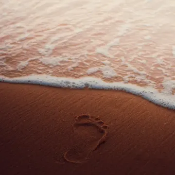 coveImg