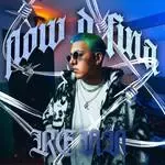 Flow d fina-cover