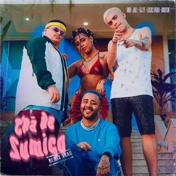 Chá de Sumiço (Remix Vrau)-cover